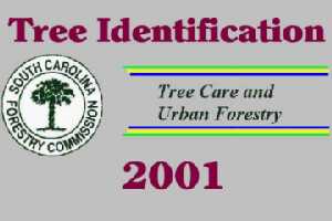 Urban and Community Forestry - SC Forestry Commission